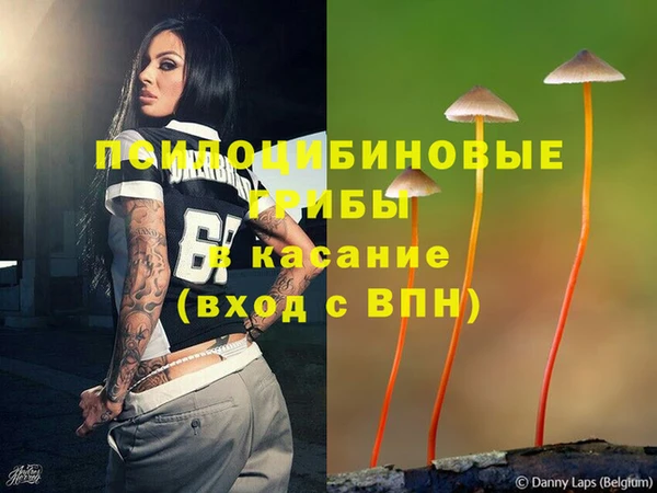 трава Краснотурьинск